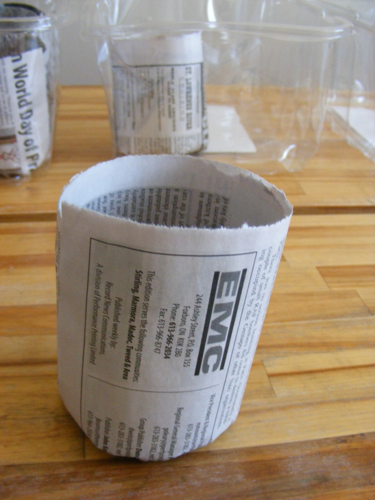 Newspaper Seed Starting Pots The Complete Guide to Imperfect Homemaking