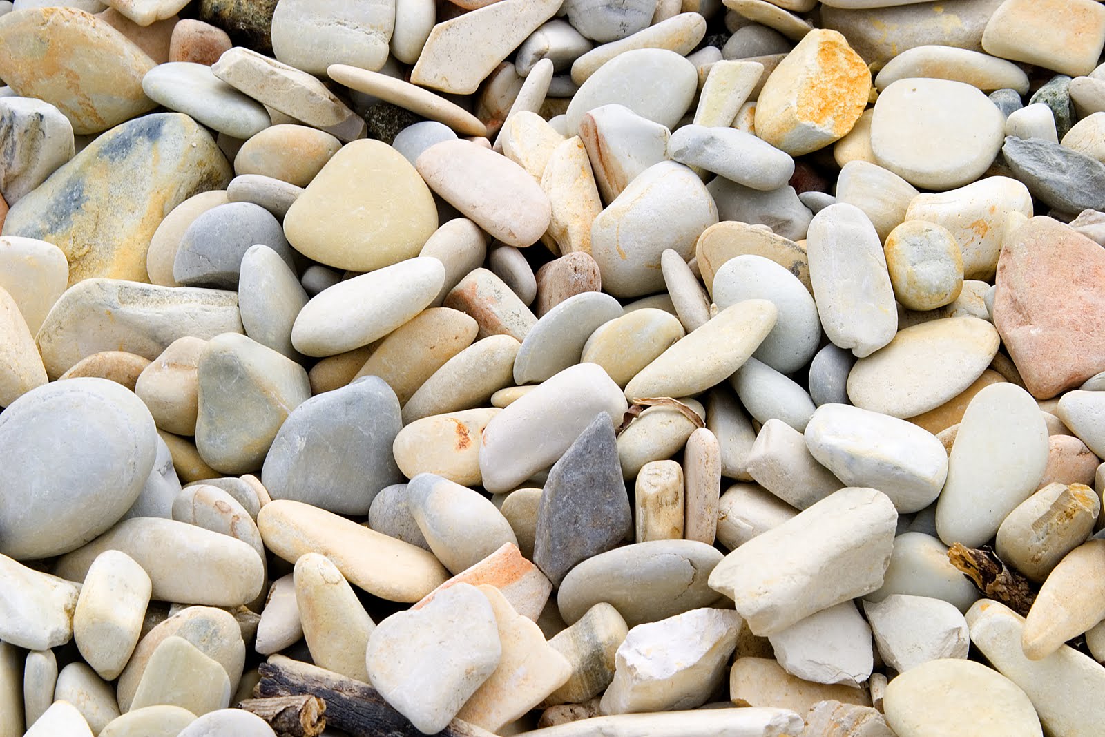 Rocks etched with words image
