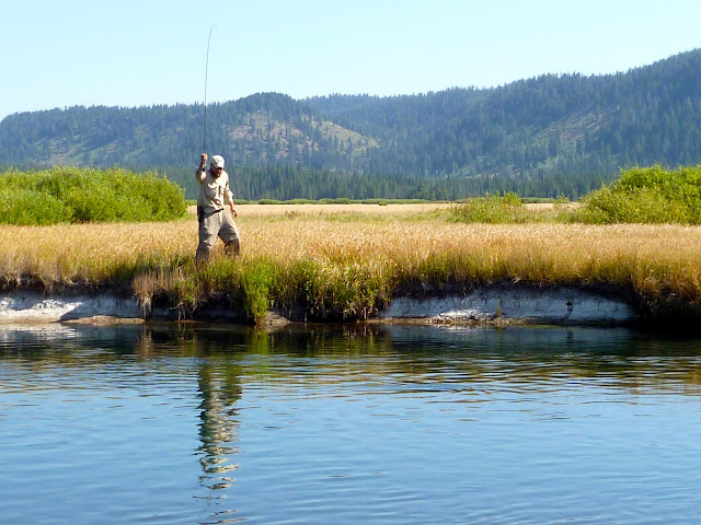 I had been looking at bechler river yellowstone for years