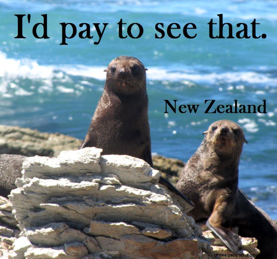 New Zealand Tourism Ad New Zealand Tourism Ad