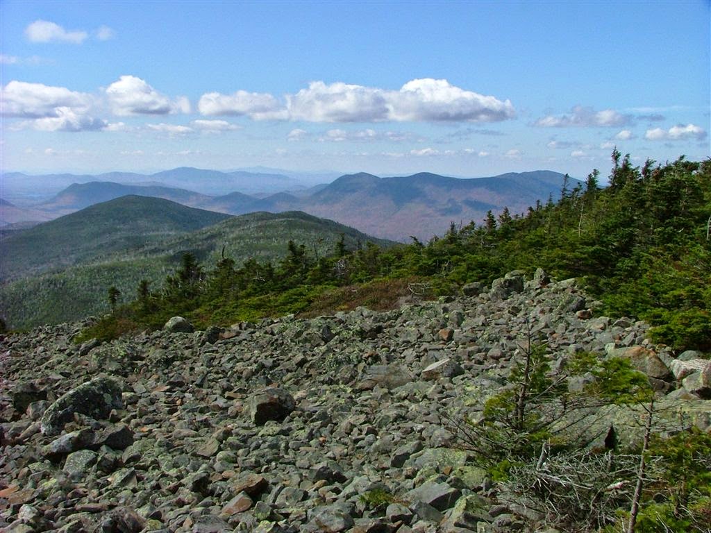 Opal + Wonder 100 Mile Wilderness