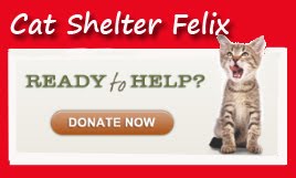 Help CAT SHELTER FELIX in Serbia ♥ PayPal: savage1@shaw.ca