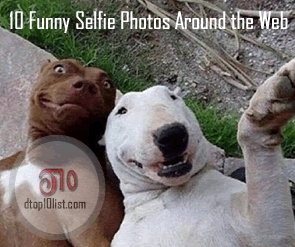 Top 10 Funny Selfie Photos Around the Web Top 10 Funny Selfie Photos Around the Web