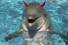 Bleach hentai doijin She told me to lick his