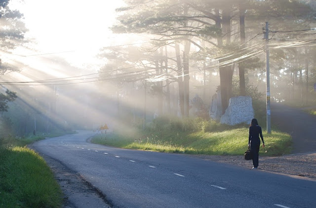 [Image: anh-dep-Da-Lat.jpg]