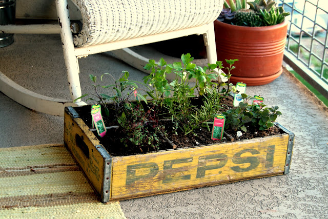 insideways: DIY Herb Garden