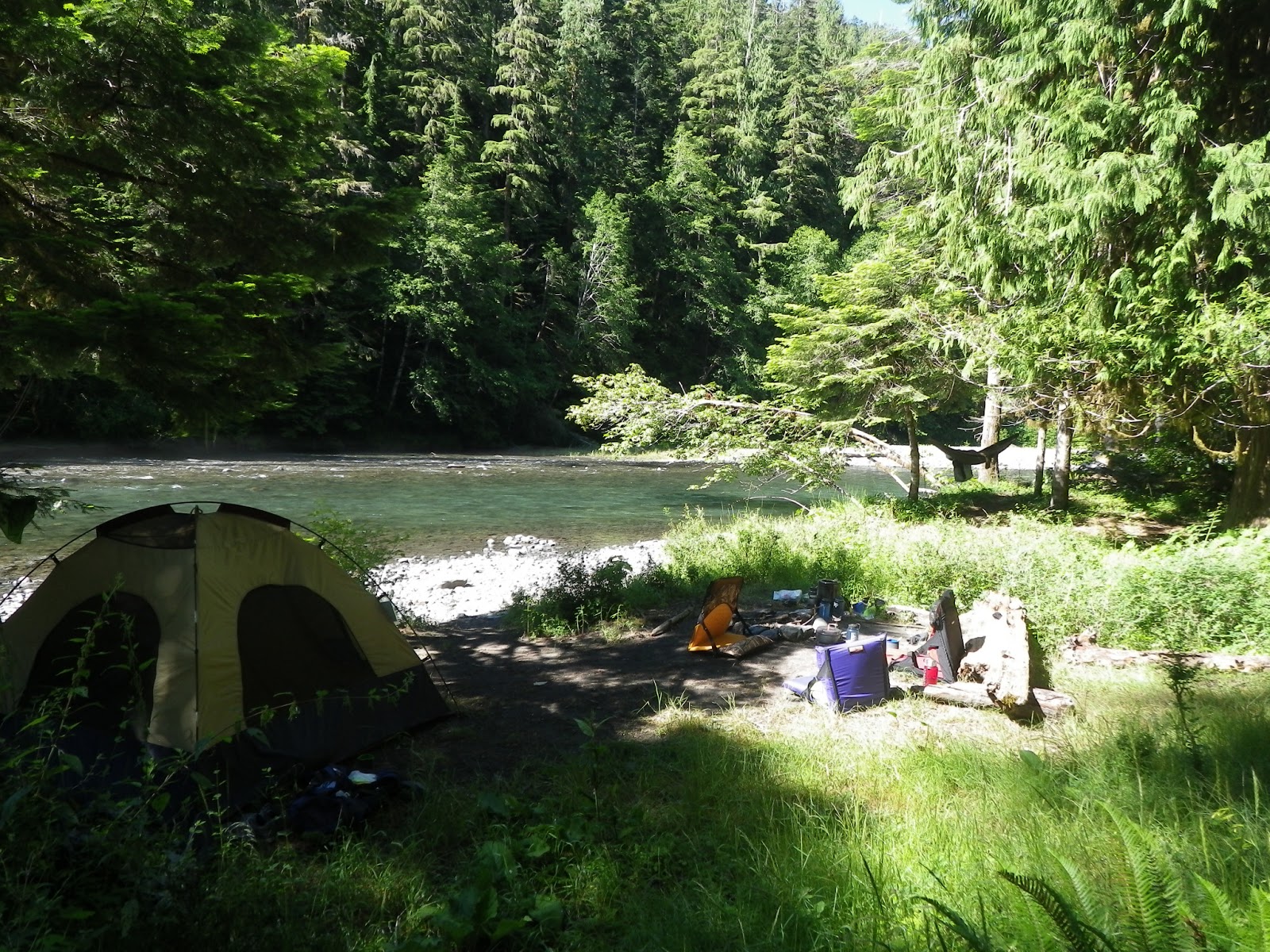 Buy deuter backpacks london, backpacking olympic national park zoo