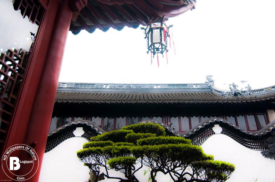 Nature HD Wallpapers For Mac | hd wallpapers of nature