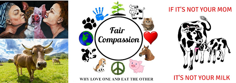 Fair Compassion