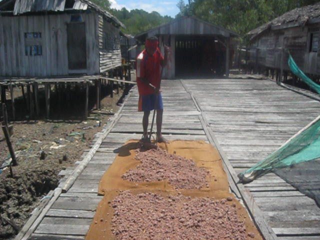 Warga Pegat Batumbuk mengolah terasi dari bahan baku udang segar