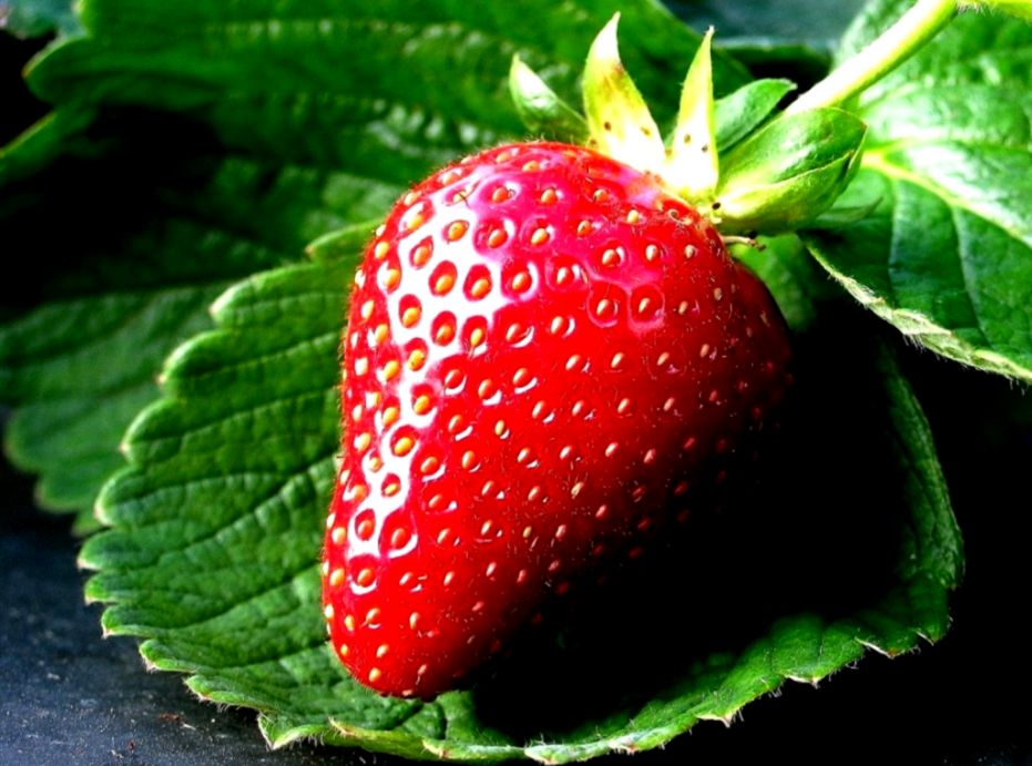 Strawberry Hd Wallpapers Free Download All Hd Wallpapers Gallery