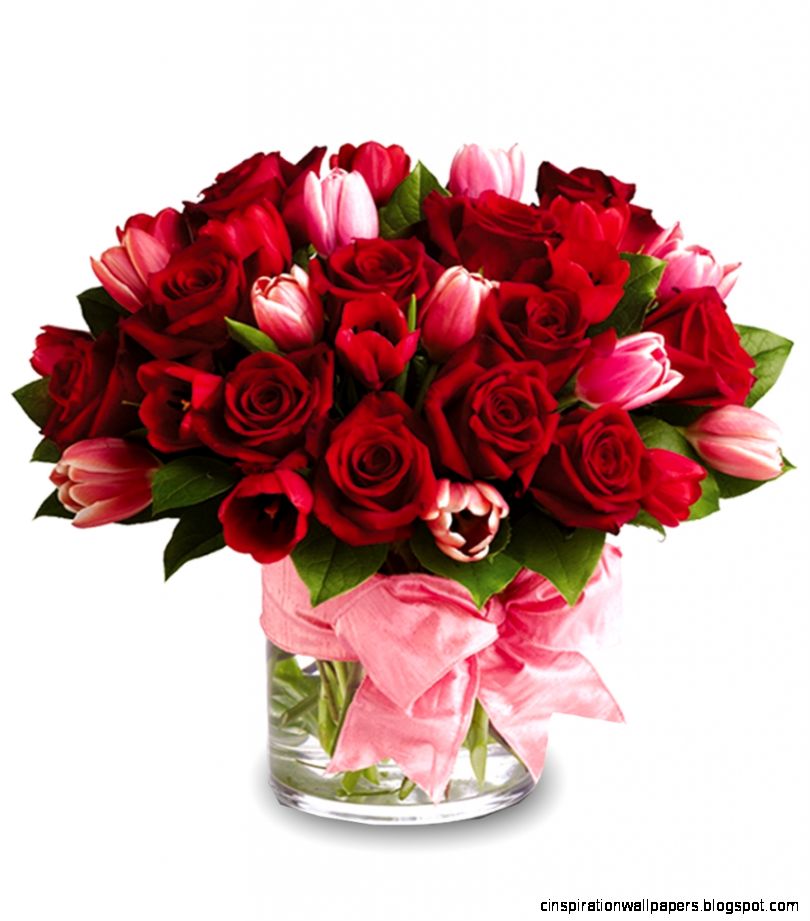 Valentine Flowers to Add Shimmer to Valentine39s Day Tropical Flowers Valentine Flowers to Add Shimmer to Valentine39s Day Tropical Flowers