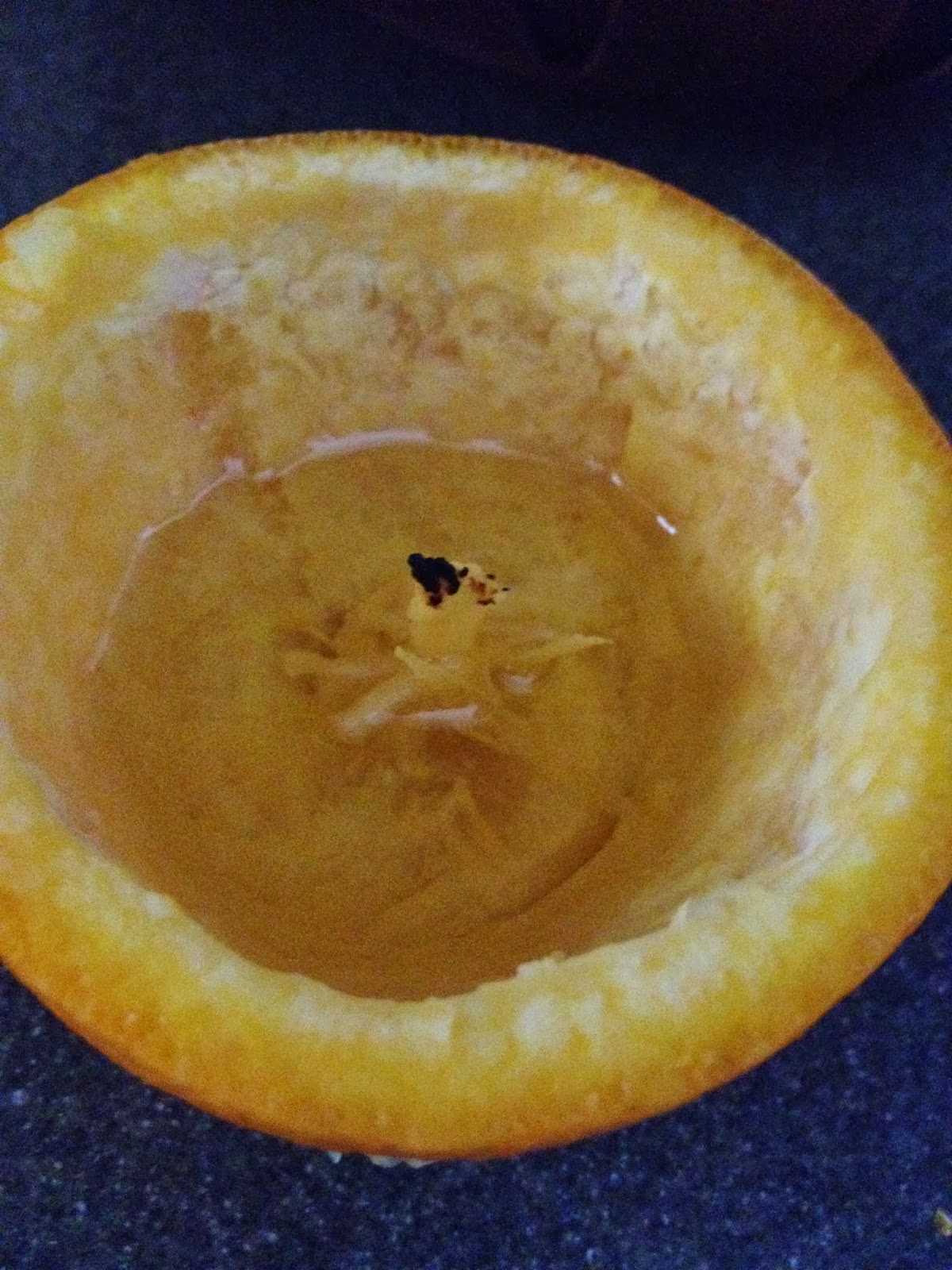 The DIY Guinea Pig Orange Candle