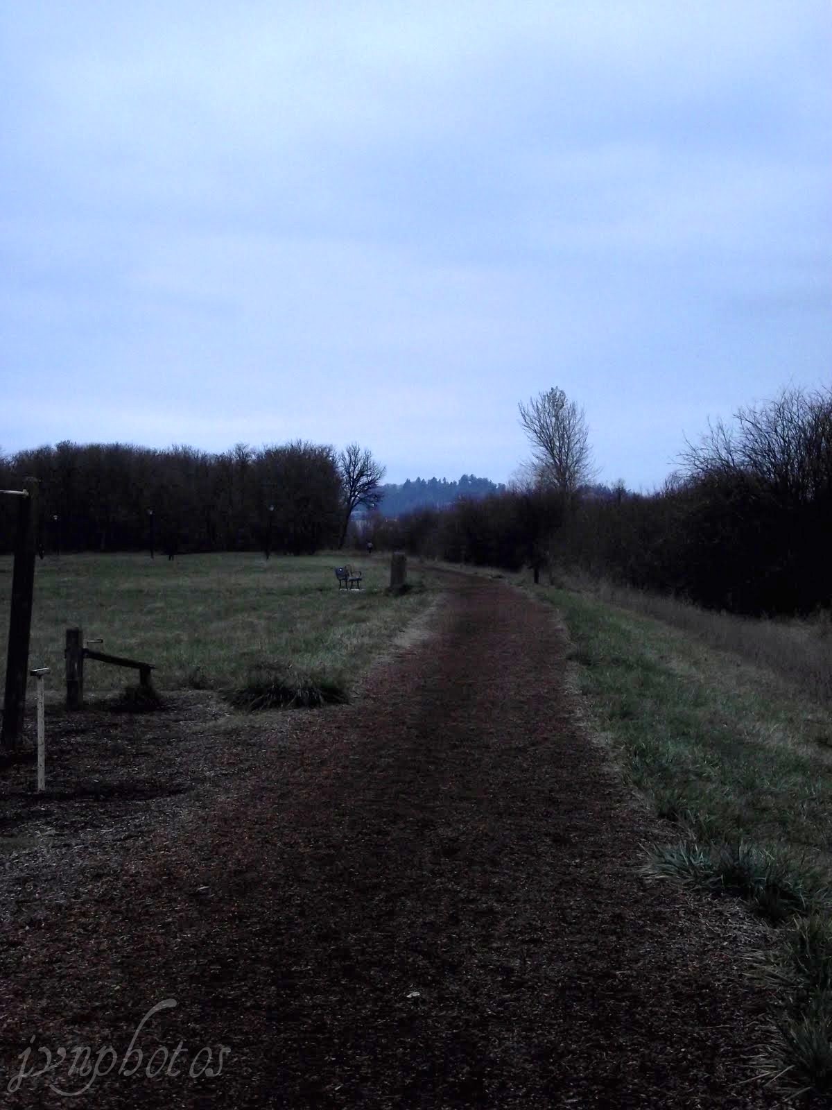 Photos by Jan Amazon Park Eugene , Oregon