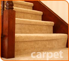 Hollywood Carpet Installation On Stairs