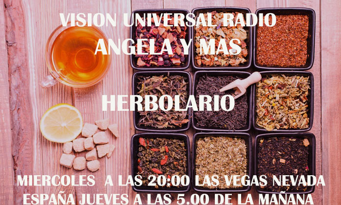 PROGRAMA DE RADIO