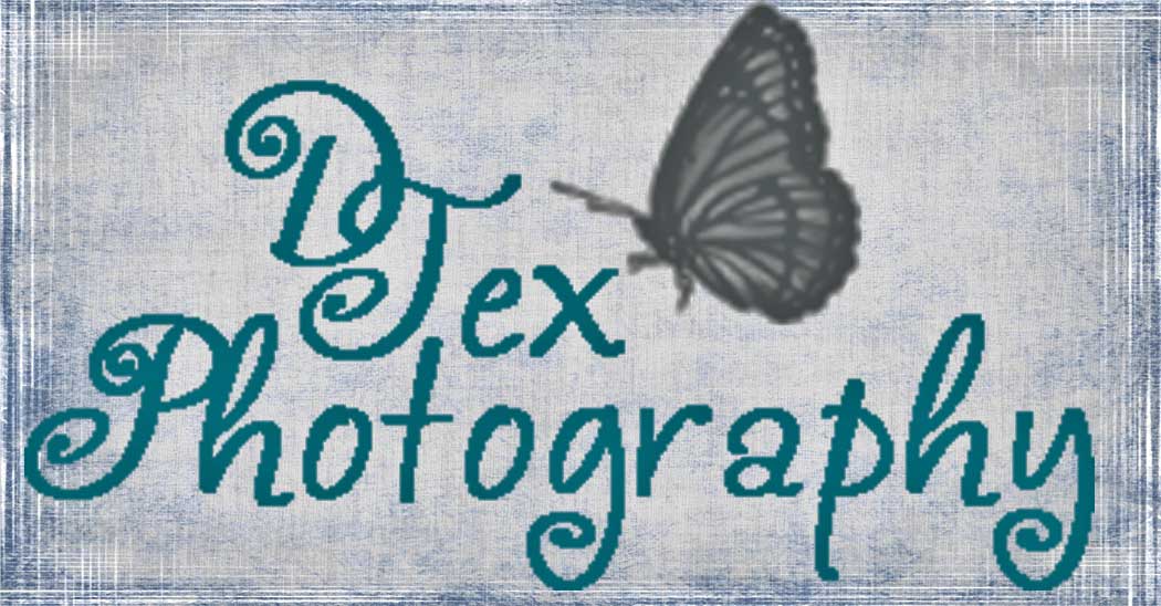 DTex Photography