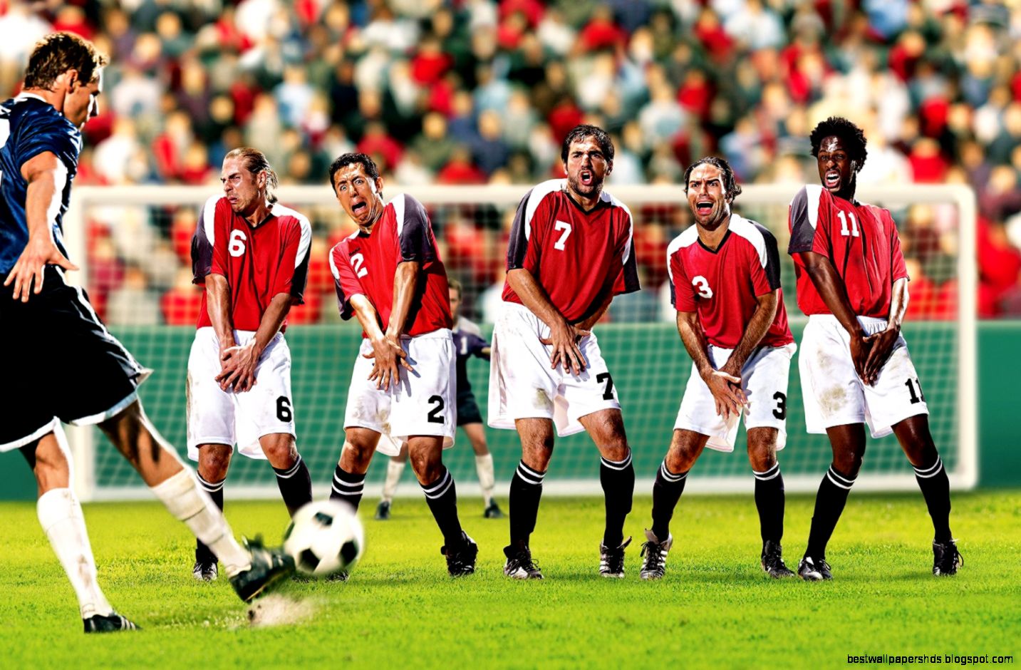 Funny Soccer Images All Wallpapers New Funny Soccer Images All Wallpapers New