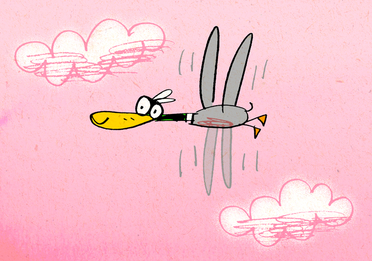 Fred Duck