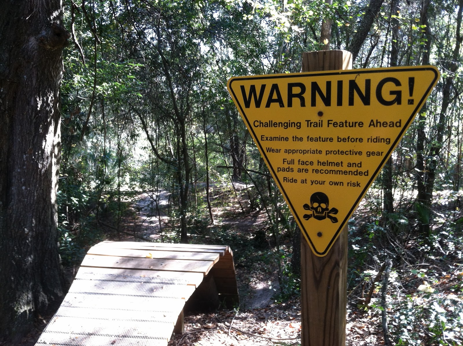CENTRAL FLORIDA MOUNTAIN BIKE TRAILS MOUNT DORA BIKE TRAIL