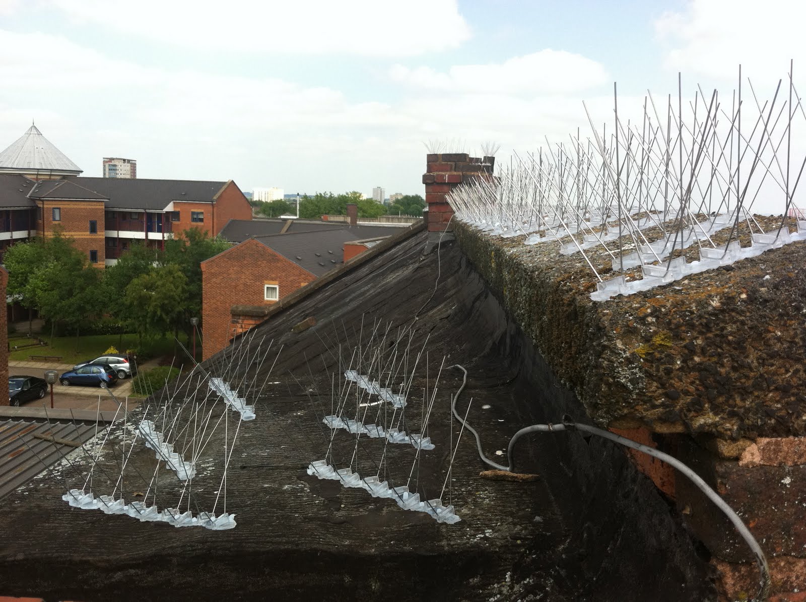 Seagull Deterrent Installation Using Rope Access Rope Task Limited