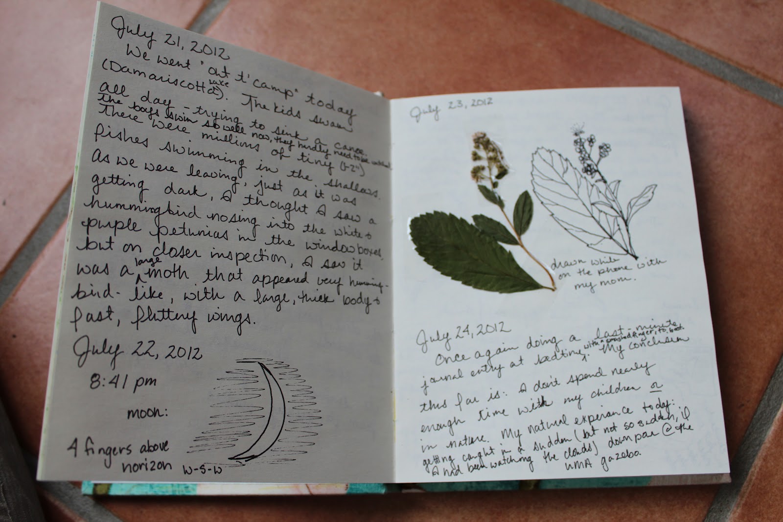 Nature essay titles picture