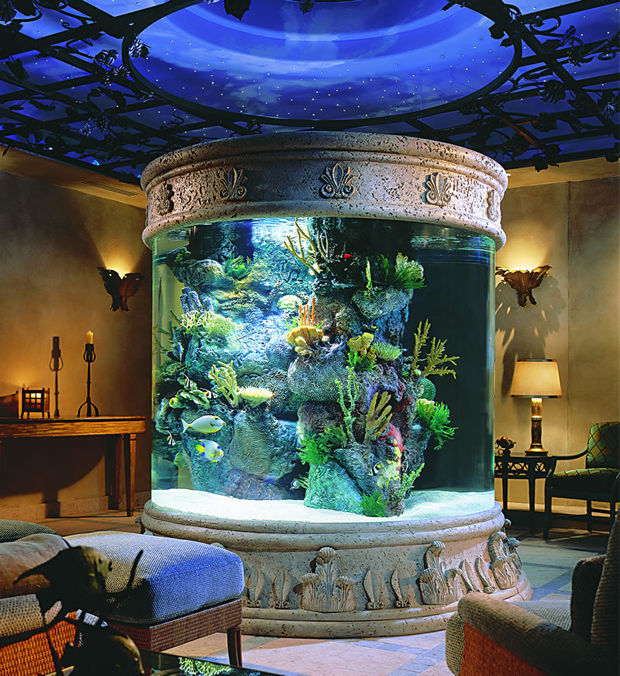 10 amazing aquariums