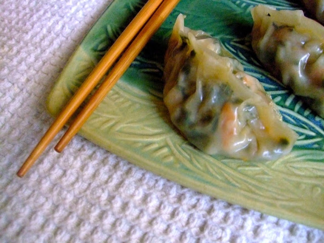 japanese style dumplings