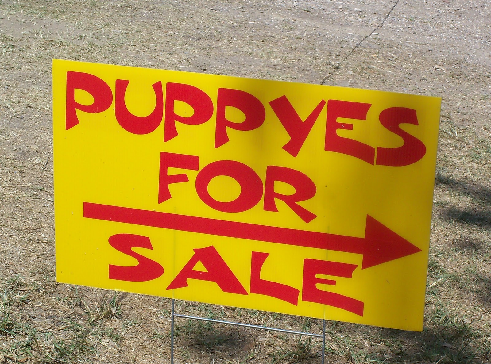 SUSAN'S COLORFUL LIFE Here's Your Warrenton Sign!