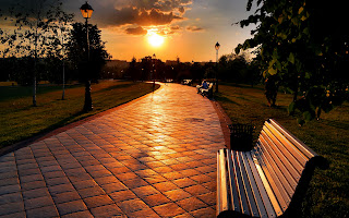 Bench in Park Sunset Photography HD Wallpaper