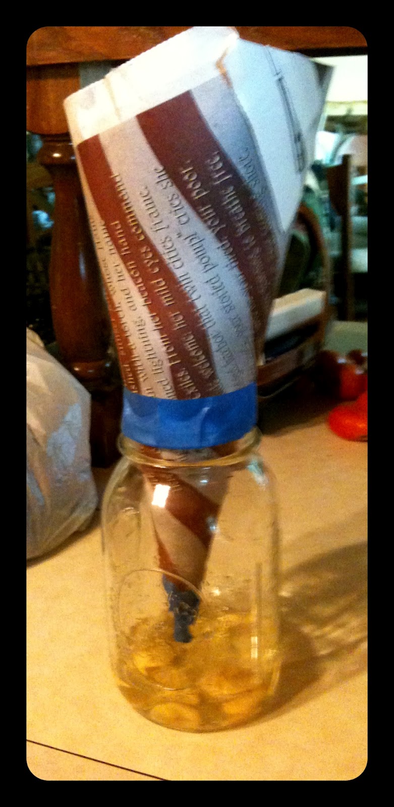 Rose Prairie Quilts and Farm How to make a gnat trap