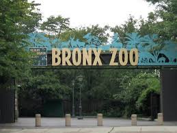 Pintu Masuk Kebun Binatang Bronx