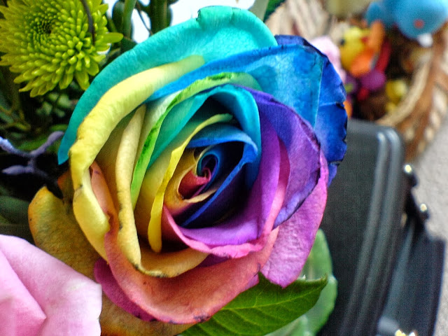 Beautiful Rainbow Flowers Wallpapers Free Download