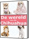 De Wereld Van De Chihuahua