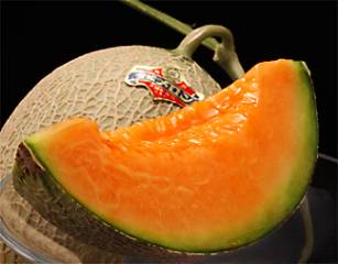 cucumis melo yubari king