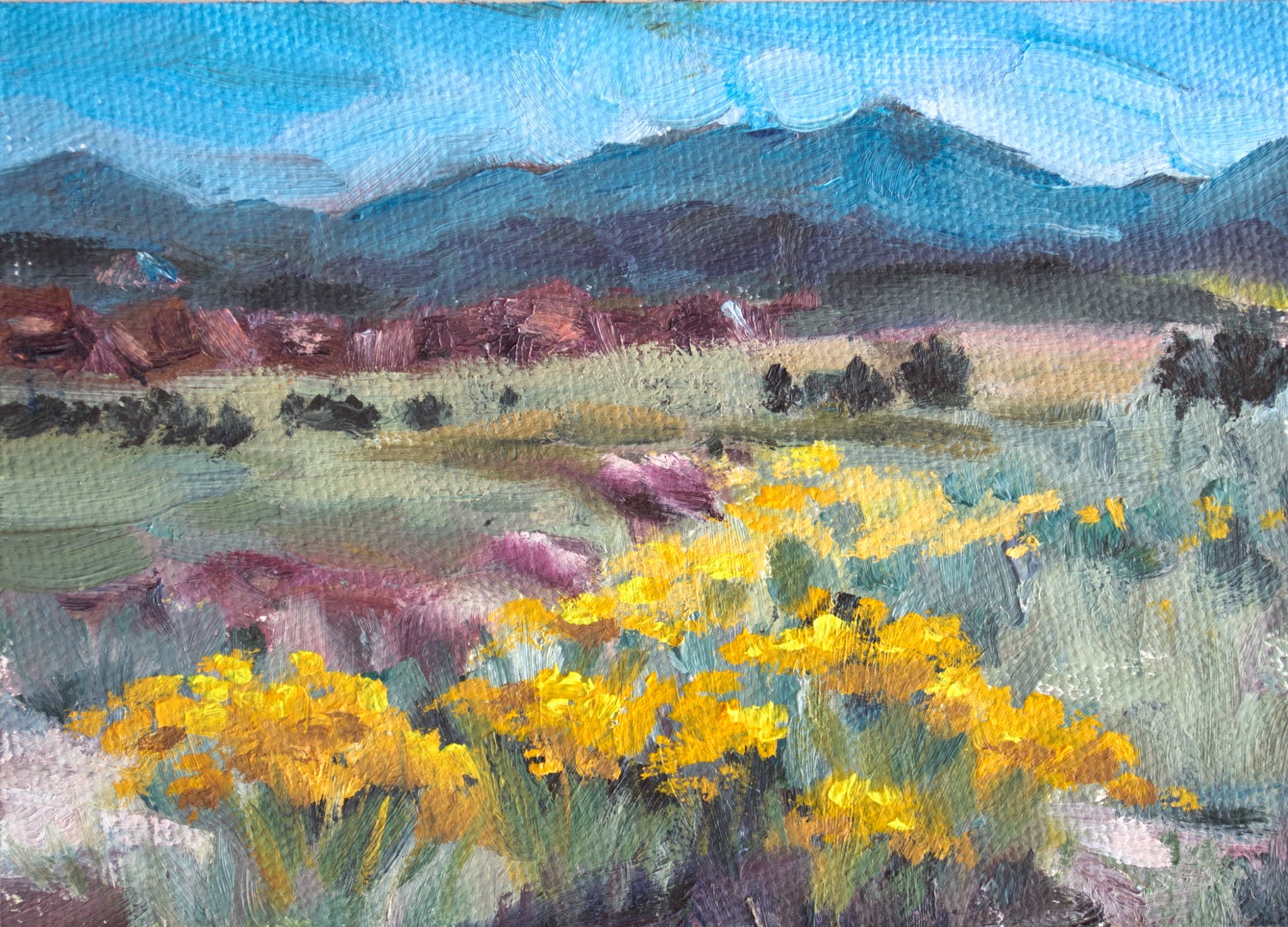 Kit Hevron Mahoney Fine Art KMD2948 Endless Summer by Colorado artist