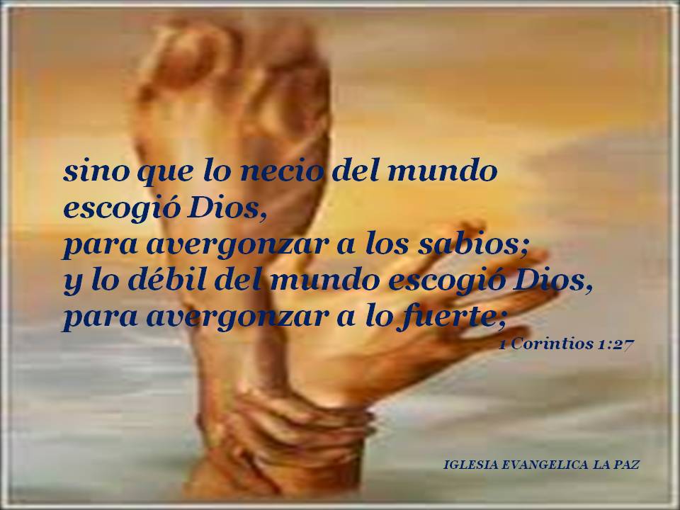 Entrelapalabra Instagram Post Photo 1 Corintios 1 27 29 Libro Doce Hombres Comunes Y Corrientes Macarthur Gramho Com