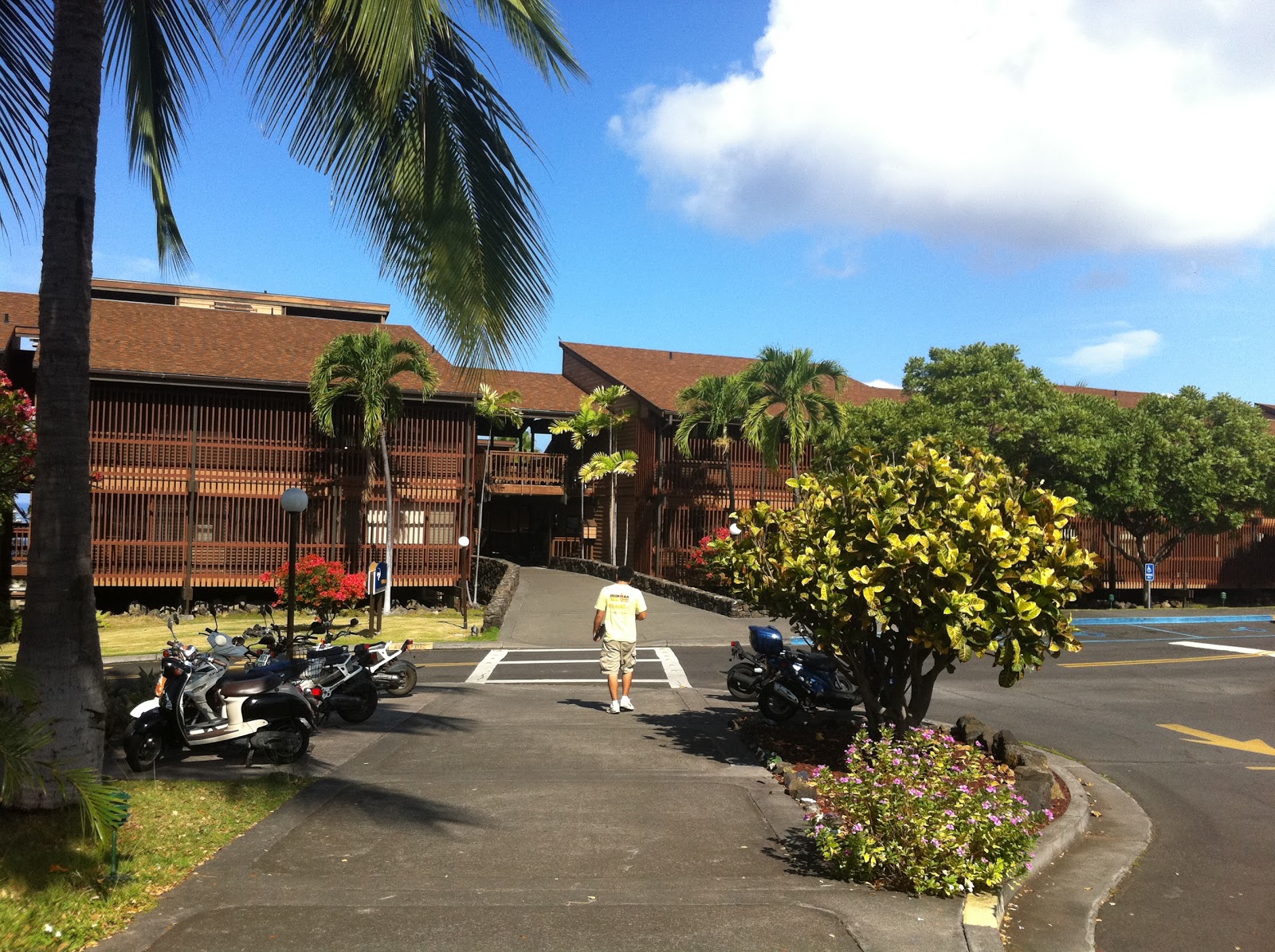 FAMILY WITH A MISSION Pictures from Around our YWAM Campus