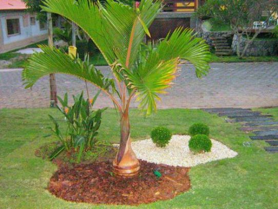 Construç u00e3o e Decoraç u00e3o Jardins Pequenos e Simples Solteiras Noivas Casadas # Decoração De Jardins Simples Construç u00e3o e Decoraç u00e3o Jardins Pequenos e Simples Solteiras Noivas Casadas # Decoração De Jardins Simples