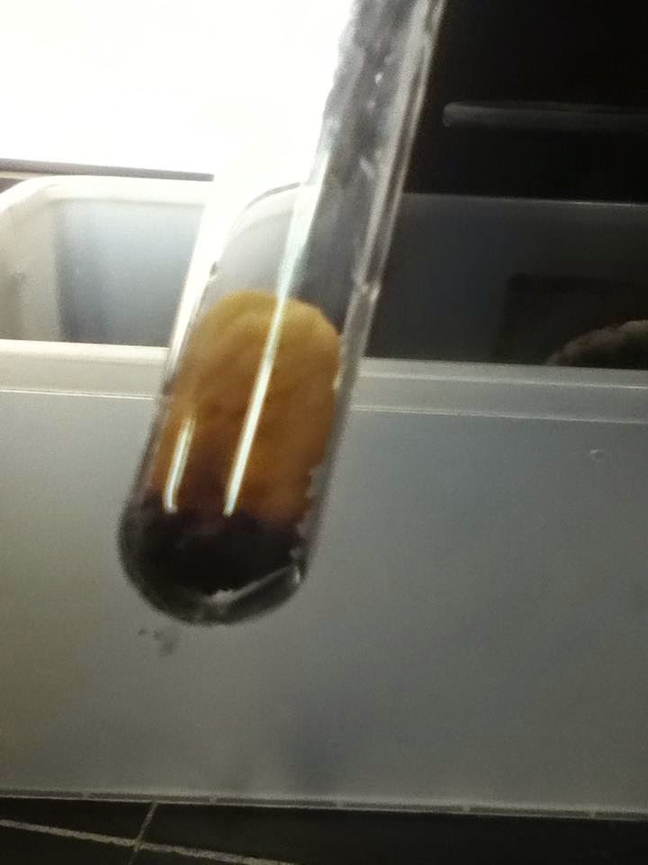 Quimica 1 Quimica 1