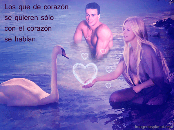 See the source image