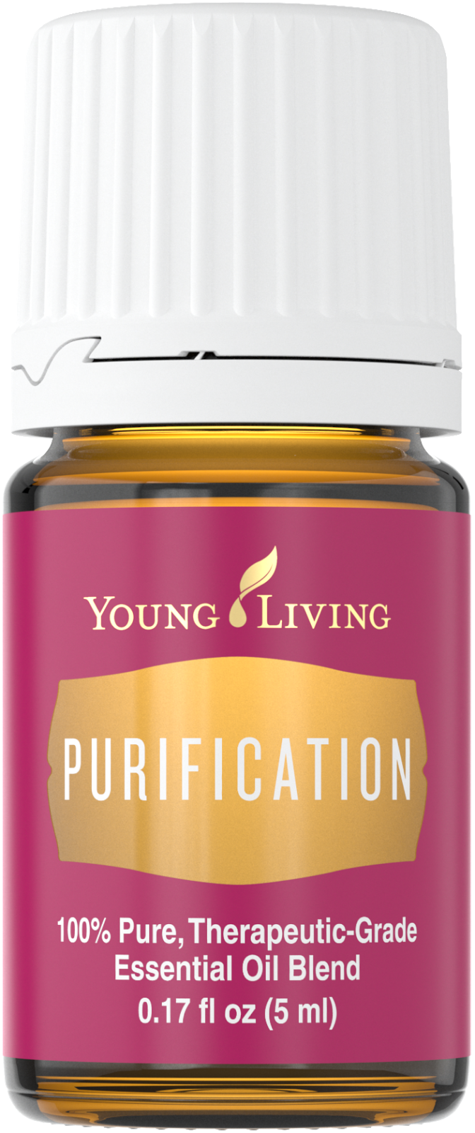 How To Use the Essential Oils From Young Living's Premium Starter Kit Overthrow Martha