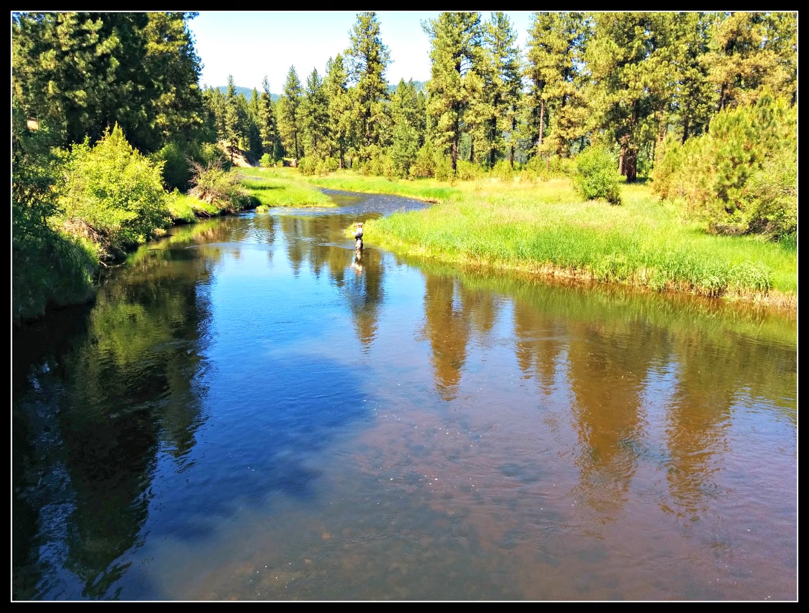 The Foam Line Fly Fishing New Meadows and the Little Salmon