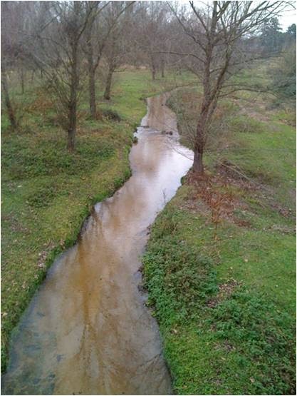 Blog.[cumClavis] La importancia de la ilusión