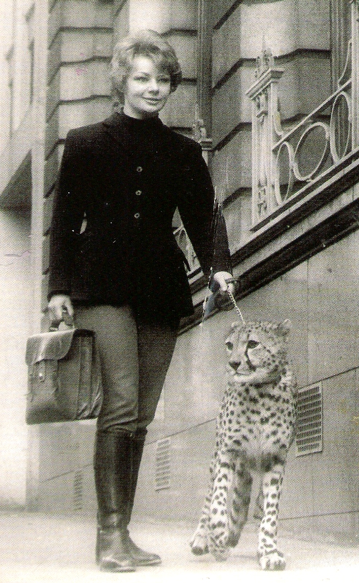 Circus Mania: The Great British Circus - Views of Martin Lacey book review