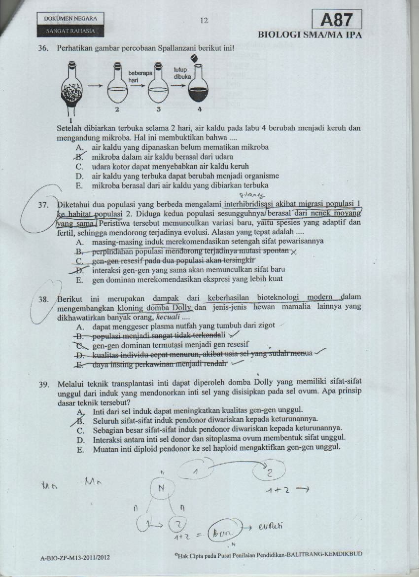 BIOLOGI GONZAGA SOAL UJIAN NASIONAL KELAS 12 IPA BIOLOGI