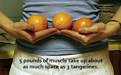 buah jeruk dan manfaatnya untuk diet
