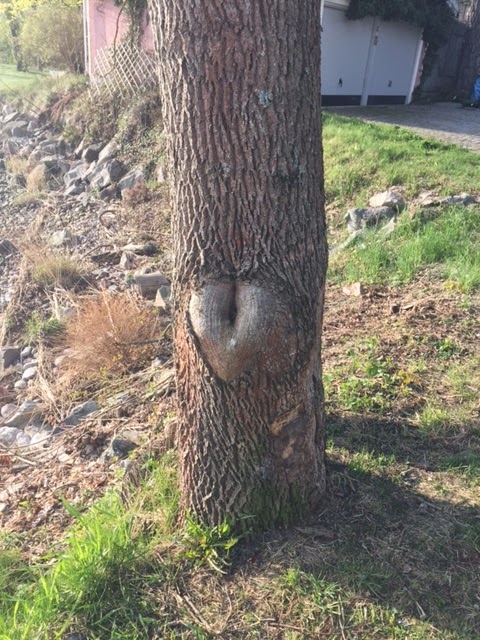 dejt cafe stockholm lunch