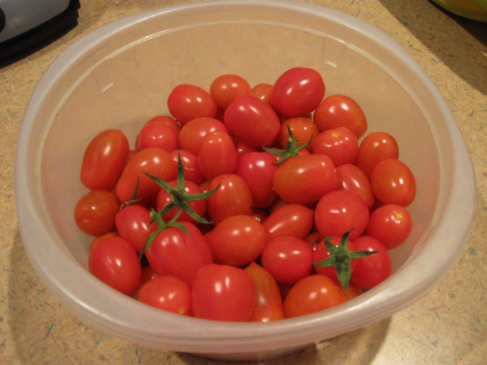 Growing Food in Florida Growing tomatoes year round