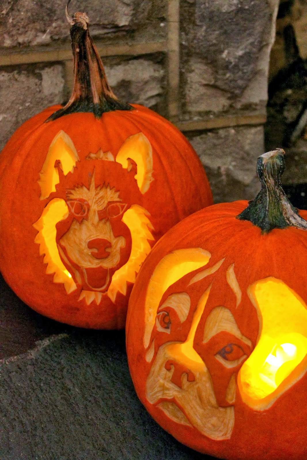 doodah! Puppy Pumpkins